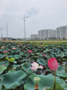 thuê mua nhà ở xã hội nam long 2 cần thơ