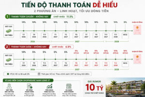 Tiến độ thanh toán Shophouse trục chính 47m Mai Chí Thọ – Cơ hội sở hữu tài sản giá trị với áp lực tài chính tối ưu